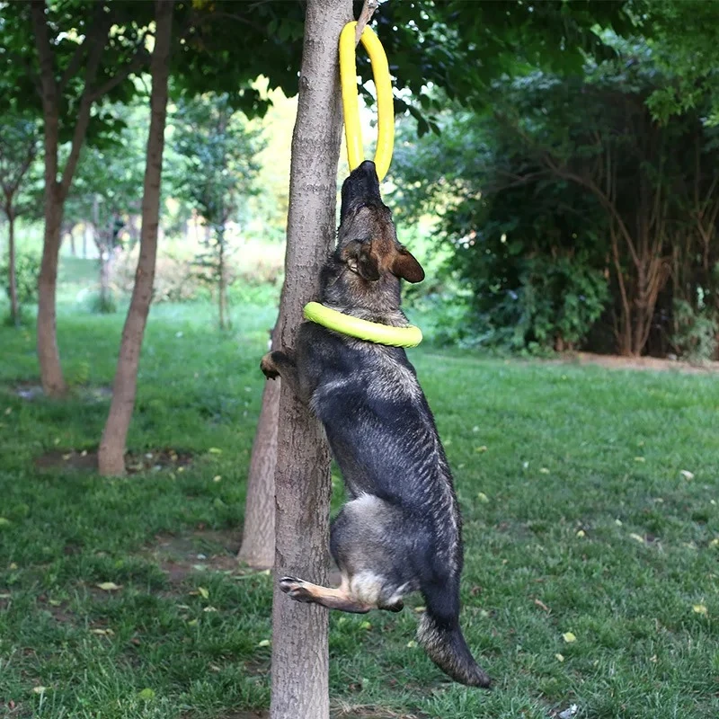Giocattoli per cani dischi vol - Suction Cup Dog Tug Toy recensione e prezzo