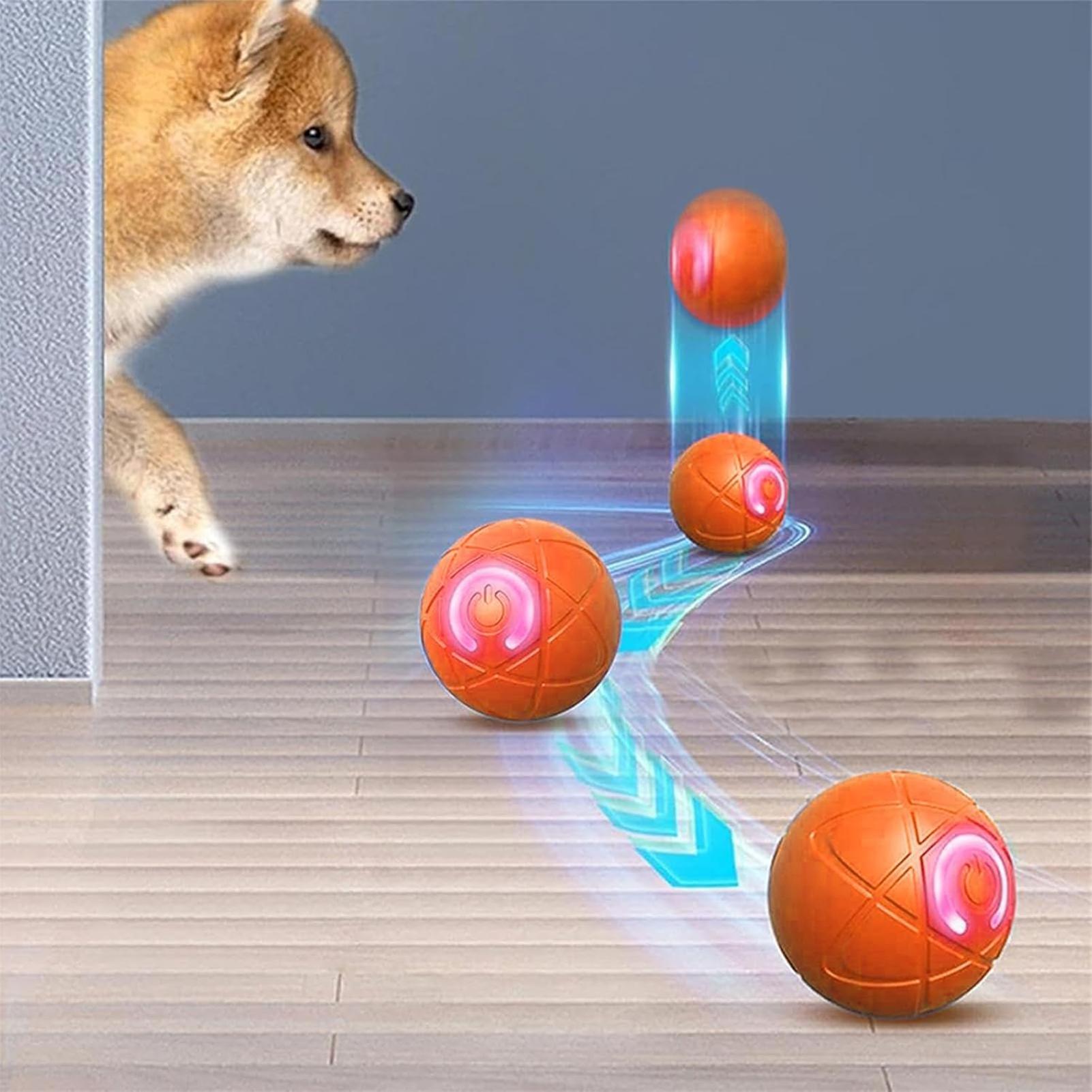 Palla Giocattolo per Animali D - Automatic Moving Dog Ball recensione e prezzo