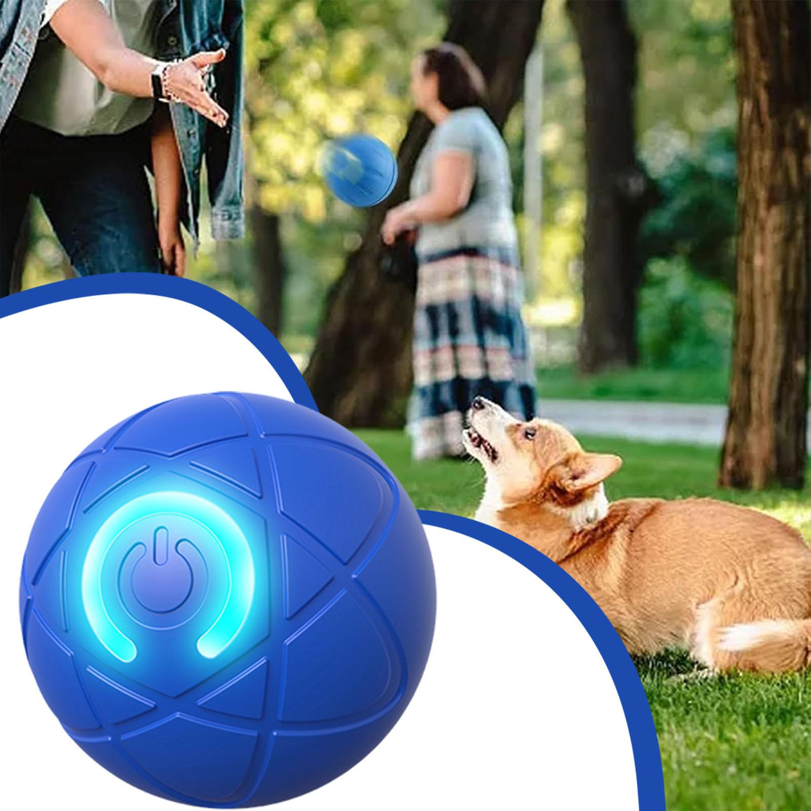 Palla Giocattolo per Animali D - Automatic Moving Dog Ball recensione e prezzo
