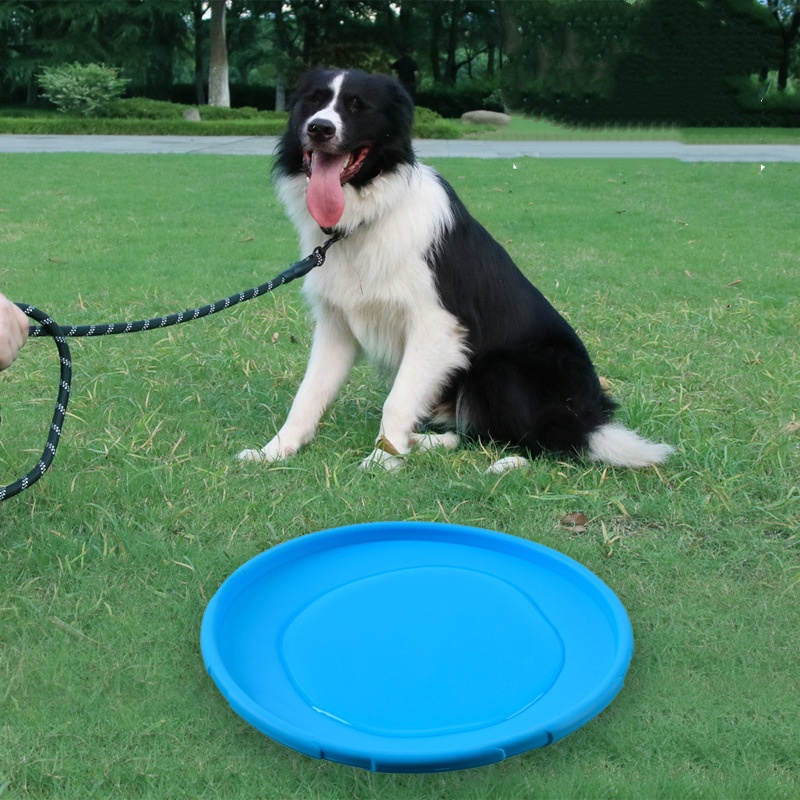 Giocattolo interattivo con dis - Flying Disc Dog Training Toy recensione e prezzo