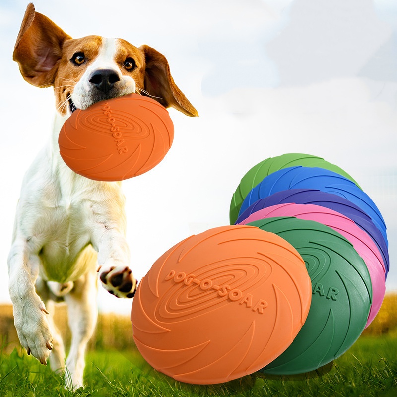 Giocattolo interattivo con dis - Flying Disc Dog Training Toy recensione e prezzo