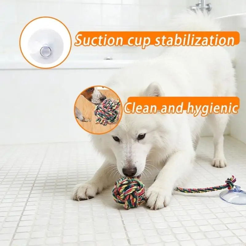 Giocattolo da masticare divert - Suction Cup Dog Tug Toy recensione e prezzo