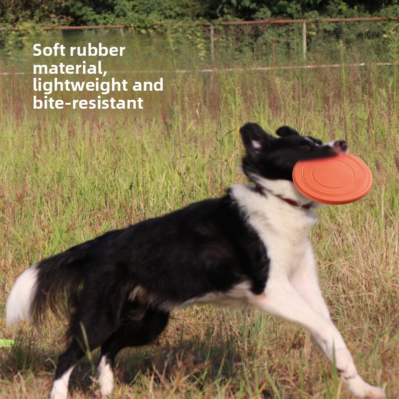Disco Volante Morbido Galleggi - Flying Disc Dog Training Toy recensione e prezzo