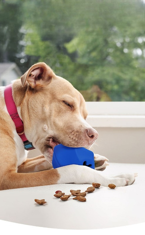 Giocattolo Dispenser di Crocch - Rubber Treat Dispensing Dog Toy recensione e prezzo