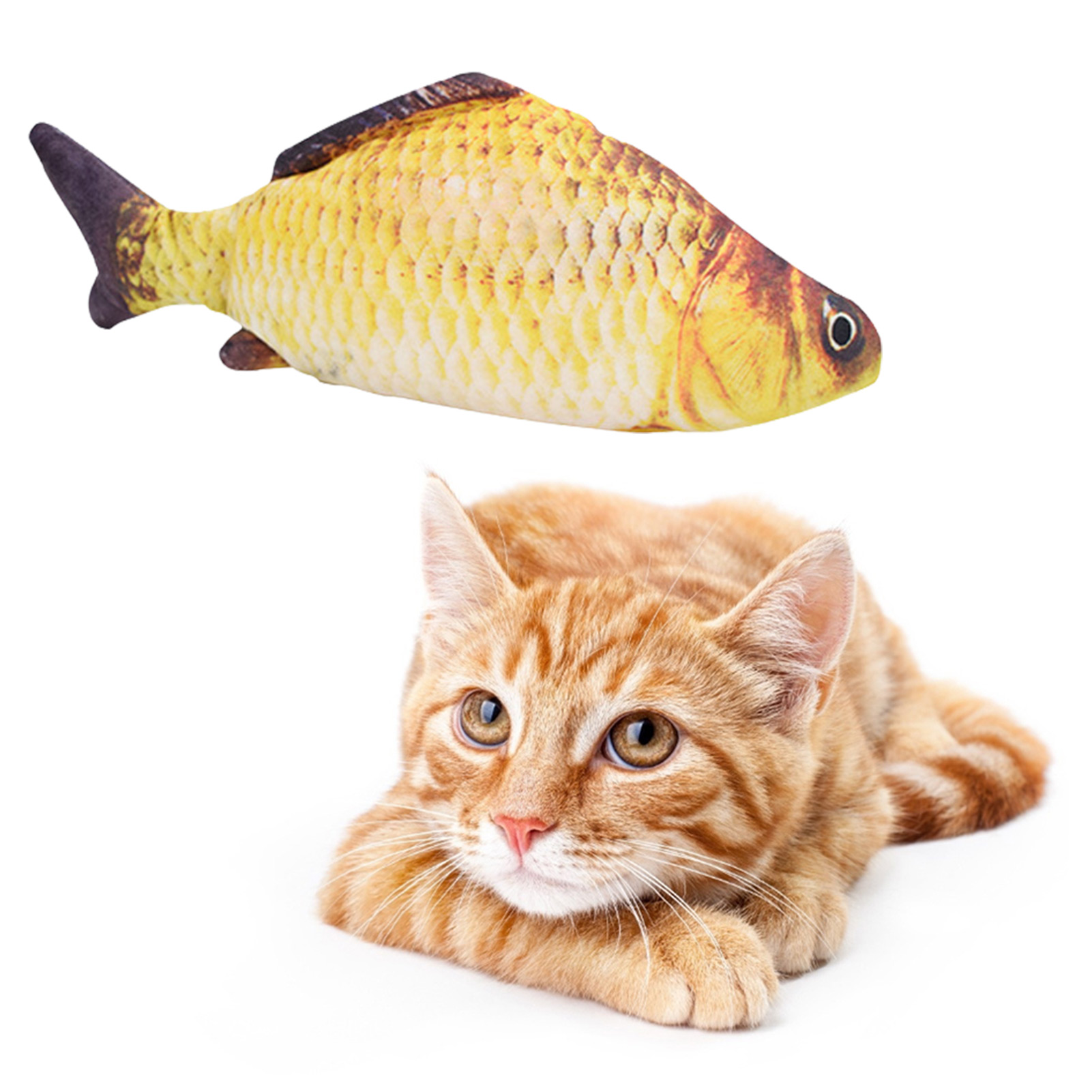 Giocattoli per Gatti a Forma d - Electric Floppy Fish Dog Toy recensione e prezzo