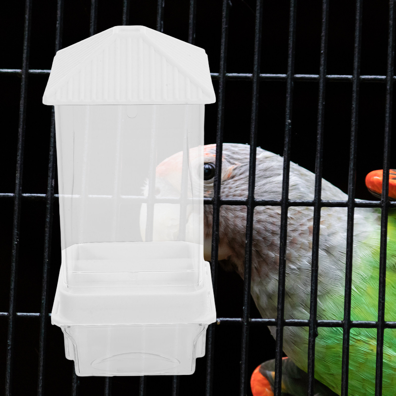 Mangiatoia Automatica per Ucce - Pet Feeders recensione e prezzo