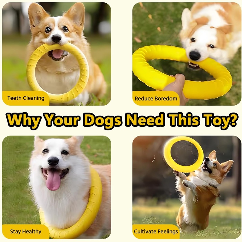 Giocattoli per Cani, Dischi Vo - Suction Cup Dog Tug Toy recensione e prezzo