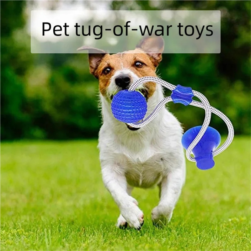 Giocattolo Interattivo per Can - Suction Cup Dog Tug Toy recensione e prezzo