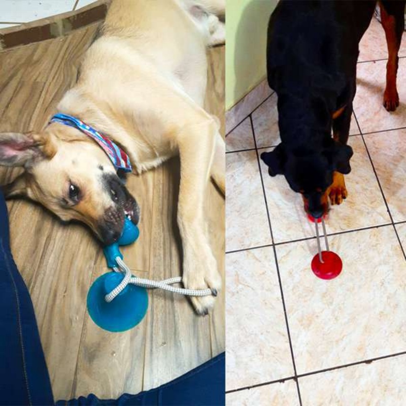Giocattolo Interattivo per Can - Suction Cup Dog Tug Toy recensione e prezzo