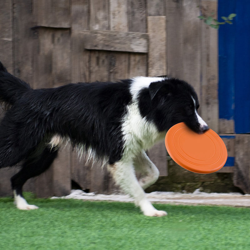 Disco volante in silicone Dive - Flying Disc Dog Training Toy recensione e prezzo