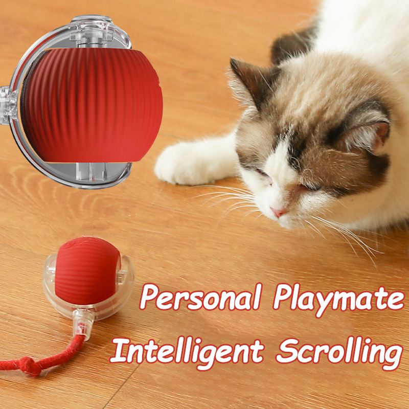 Nuovo giocattolo interattivo p - Automatic Moving Dog Ball recensione e prezzo