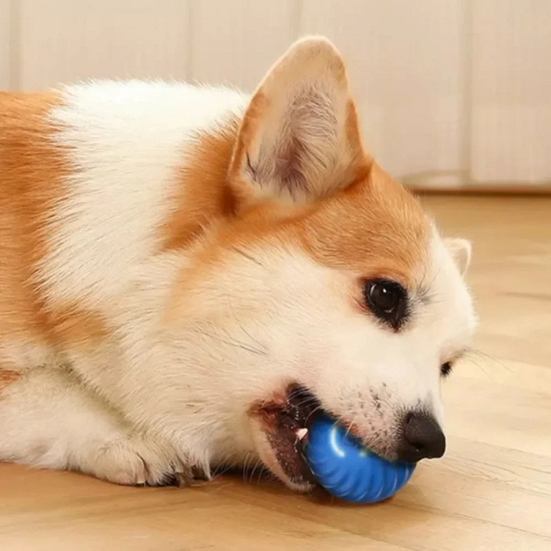 Palla giocattolo automatica pe - Automatic Moving Dog Ball recensione e prezzo