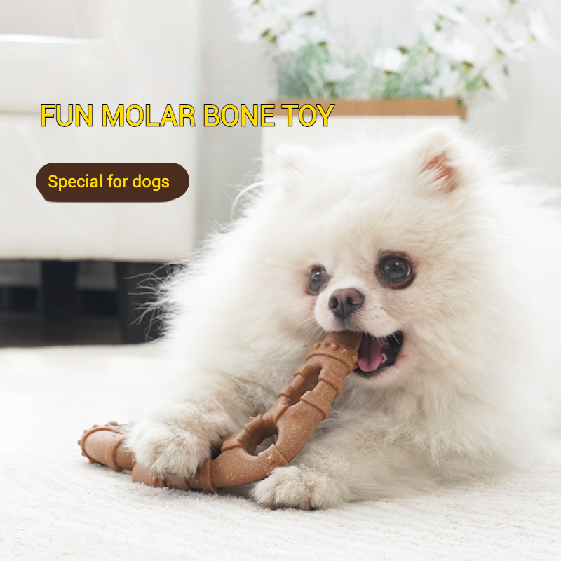 Giocattolo per cani molare imi - Teeth Cleaning Dog Chew Bone recensione e prezzo