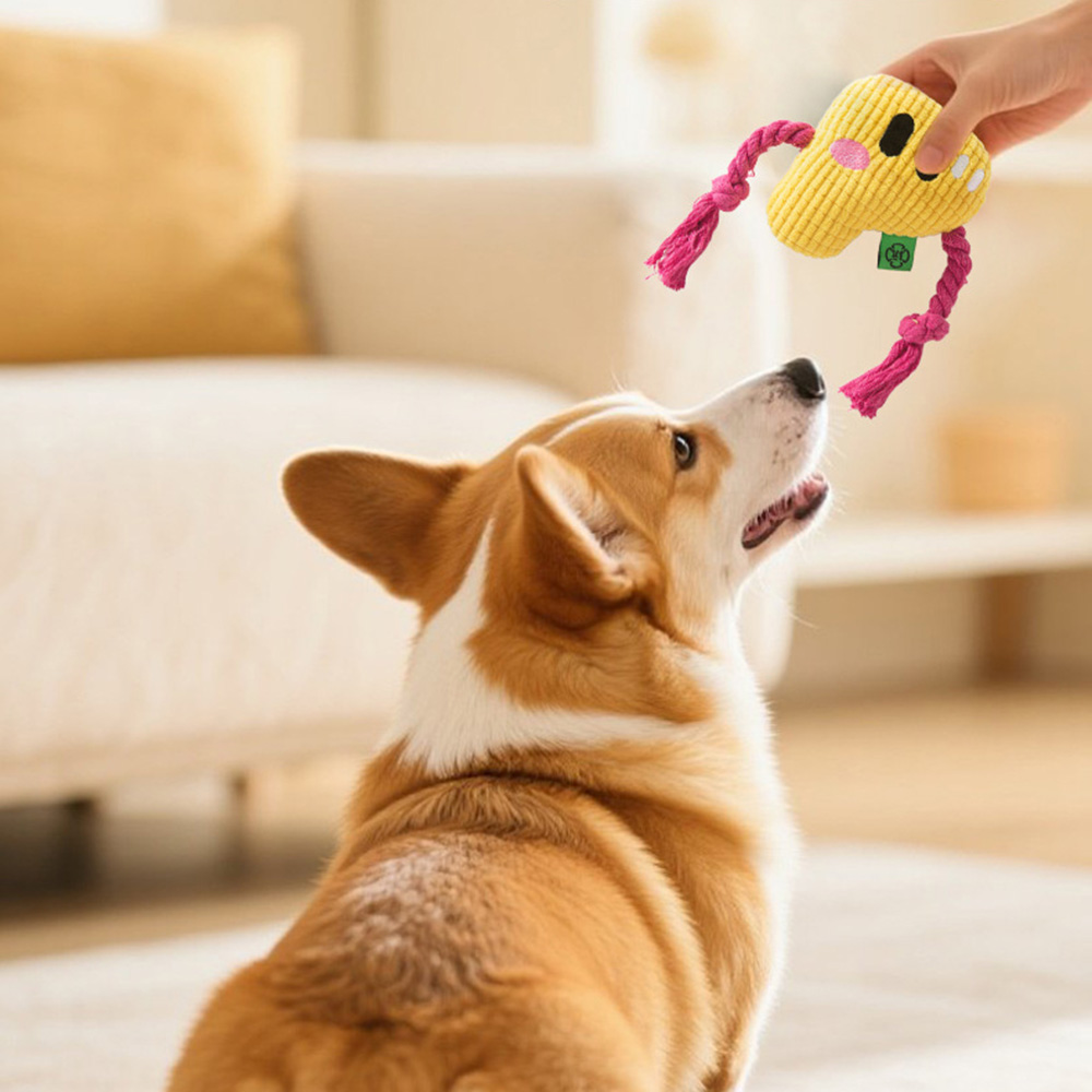 Giocattolo da masticare per ca - Dog Rope Toy Aggressive Chewers recensione e prezzo