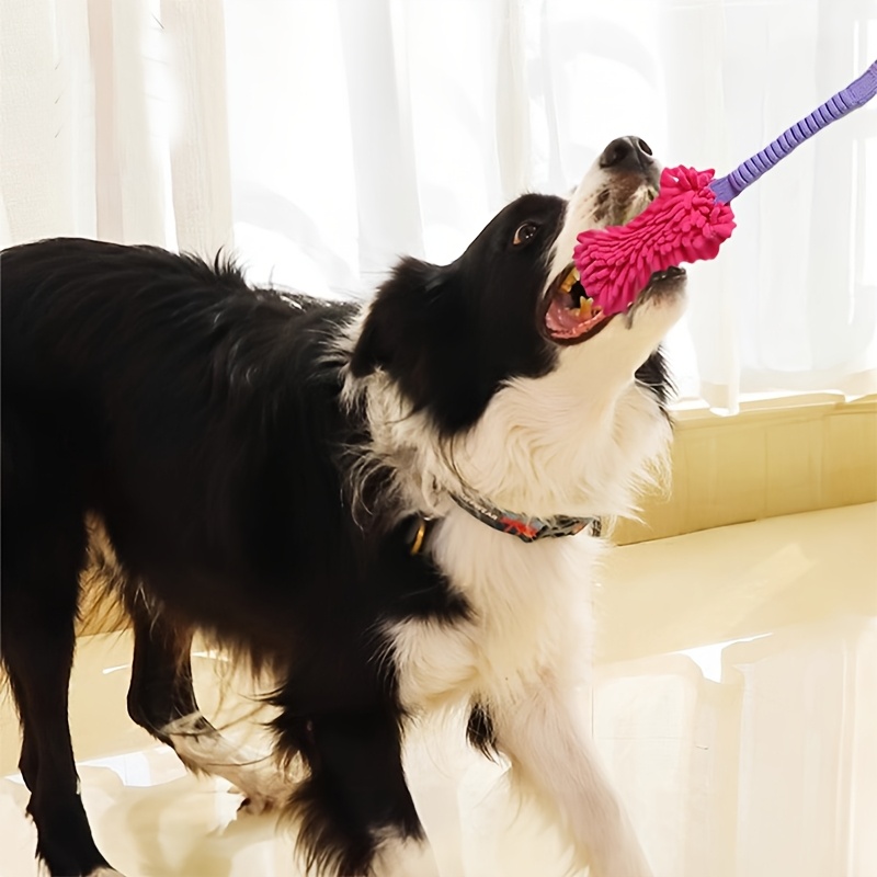 Giocattoli durevoli per cani d - Suction Cup Dog Tug Toy recensione e prezzo
