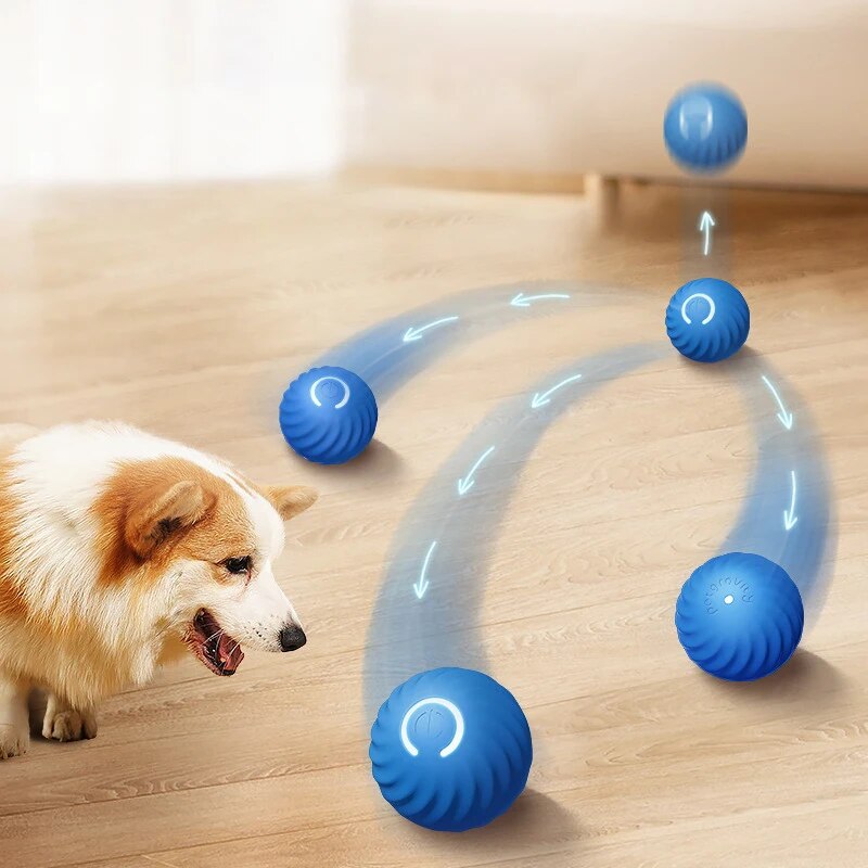 Giocattoli per cani Palla per  - Suction Cup Dog Tug Toy recensione e prezzo