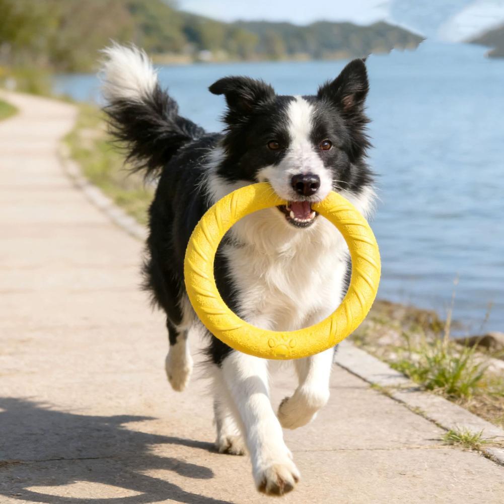 Anelli Giocattolo per Cani Ind - Indestructible Dog Chew Toy recensione e prezzo