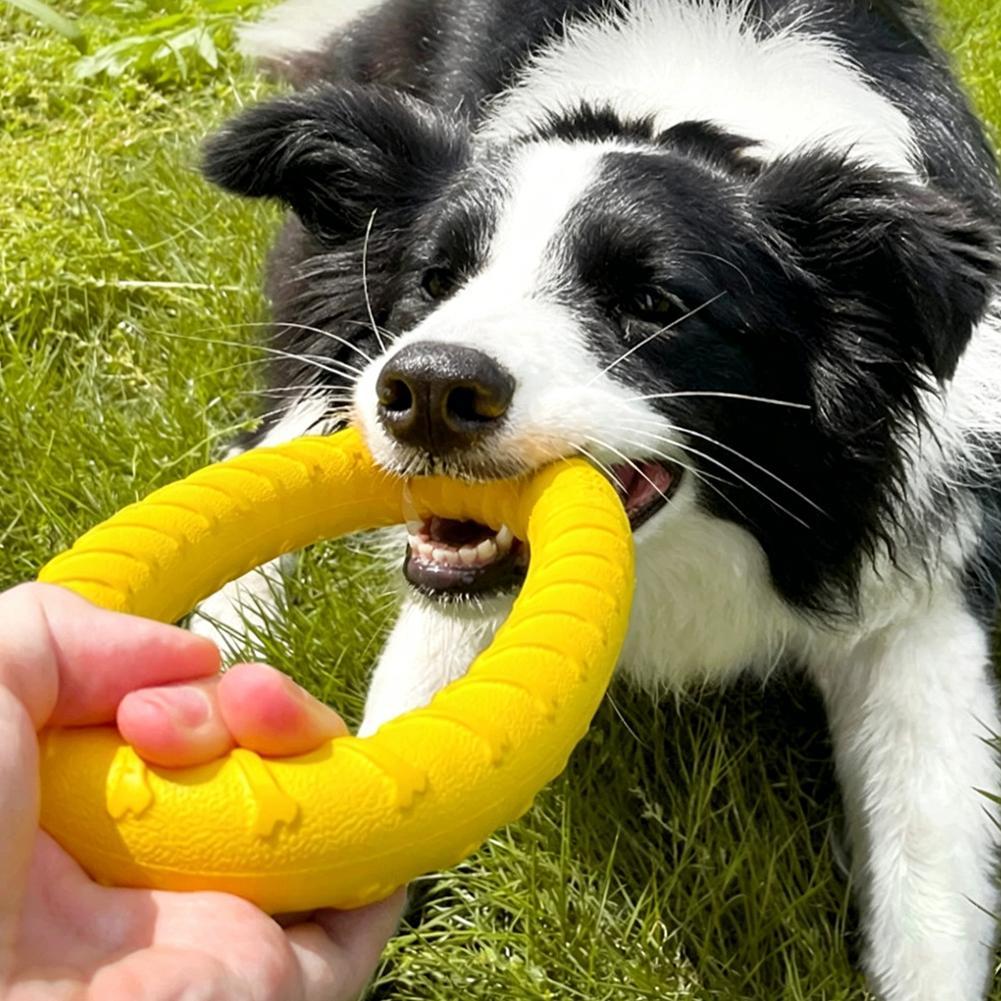 Anelli Giocattolo per Cani Ind - Indestructible Dog Chew Toy recensione e prezzo