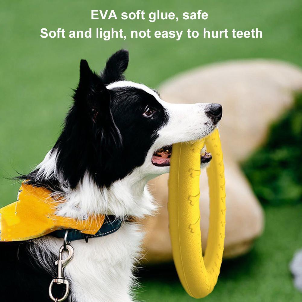 Anelli Giocattolo per Cani Ind - Indestructible Dog Chew Toy recensione e prezzo