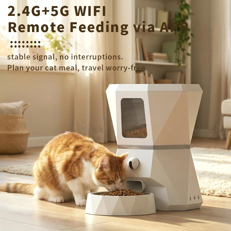 Dispenser Automatico di Cibo p - Pet Feeders recensione e prezzo