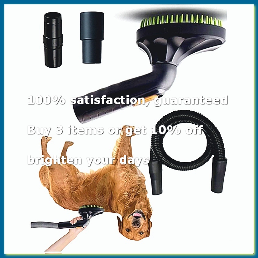 Kit Spazzola Aspirante per la  - Pet Grooming recensione e prezzo