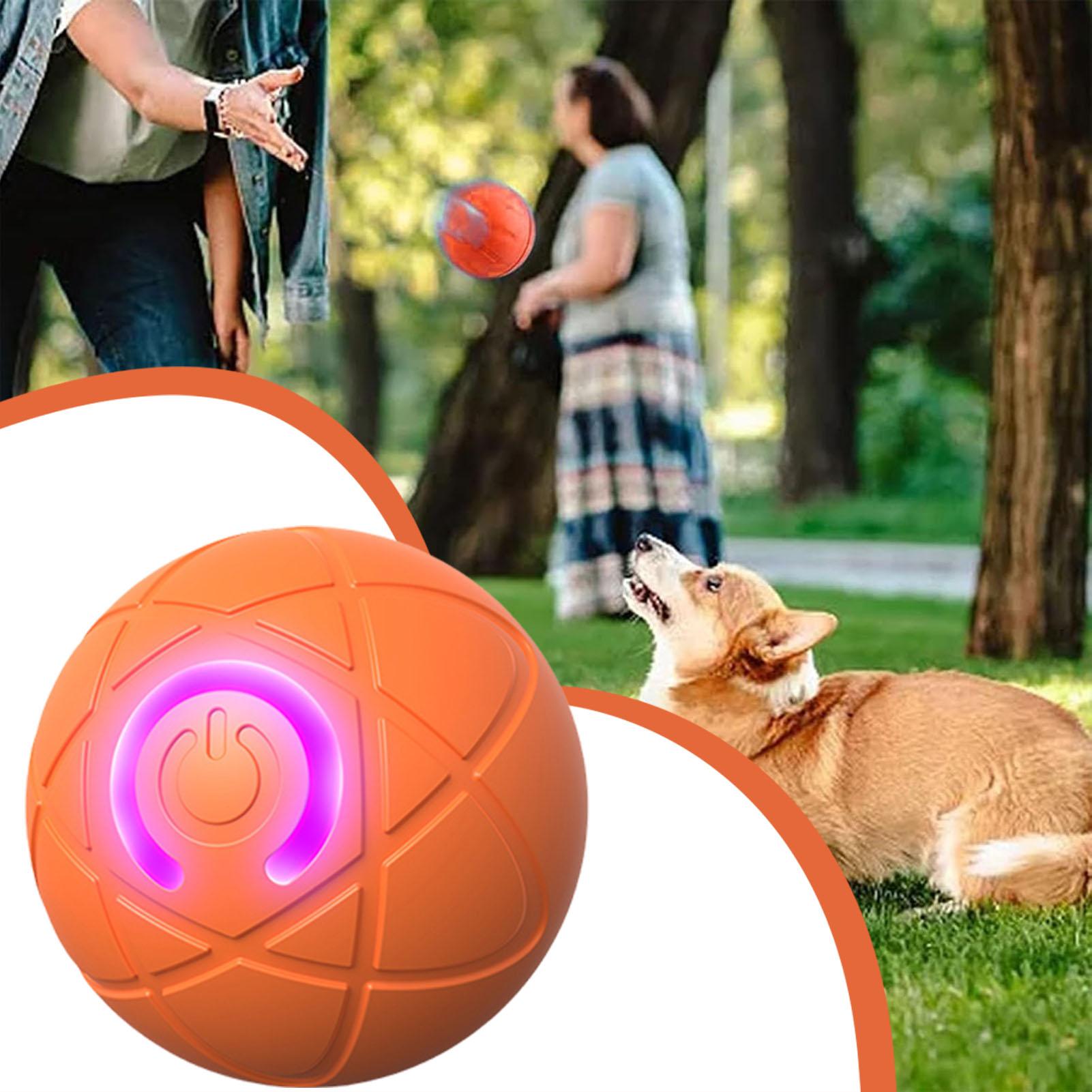 Palla giocattolo per cani Pall - Automatic Moving Dog Ball recensione e prezzo