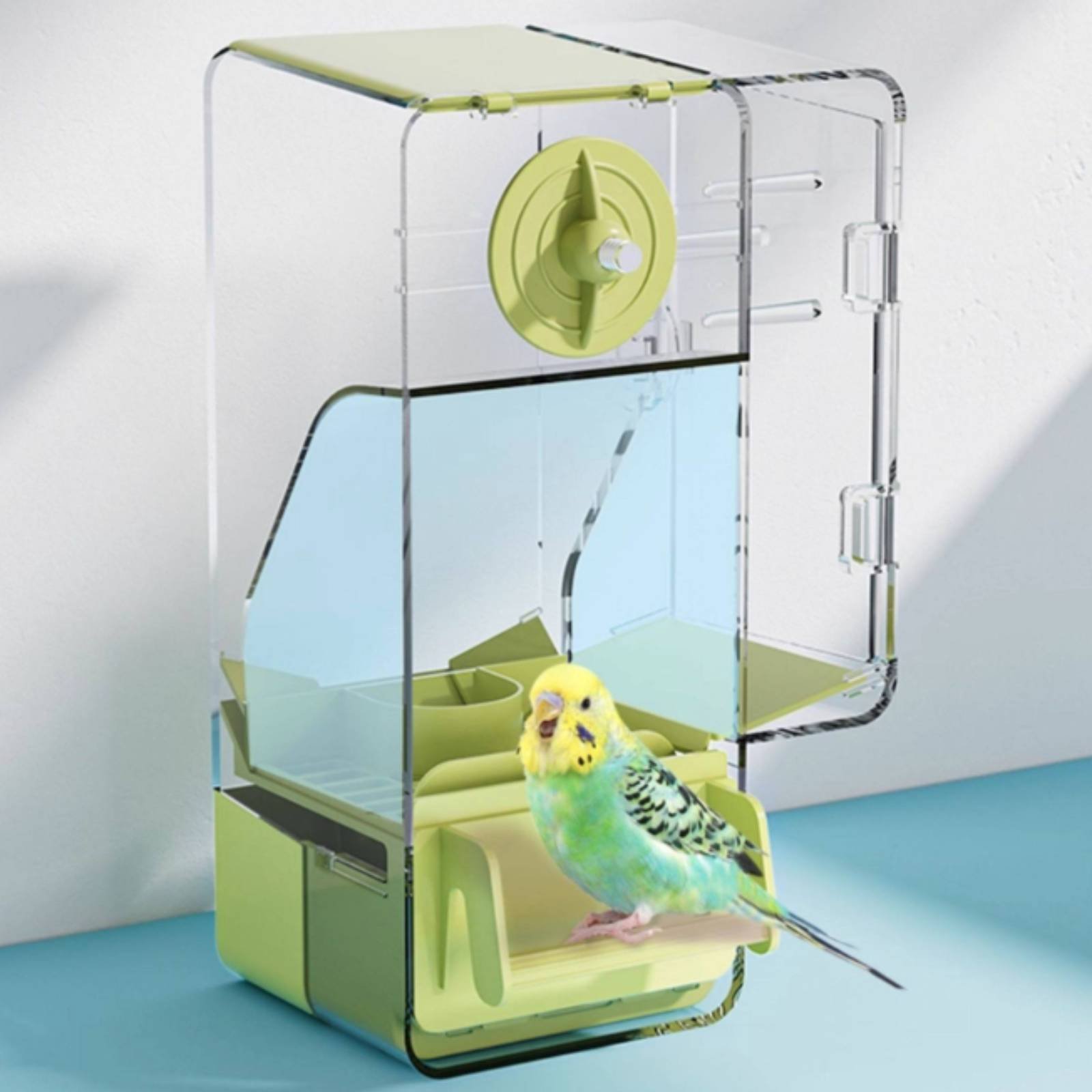 Mangiatoia per Uccelli con Sep - Pet Feeders recensione e prezzo