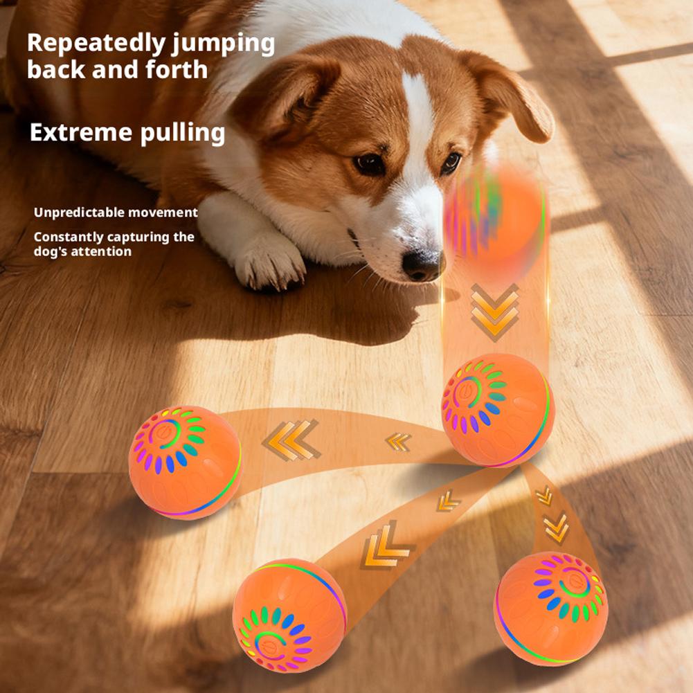 Palla Intelligente Automatica  - Automatic Moving Dog Ball recensione e prezzo