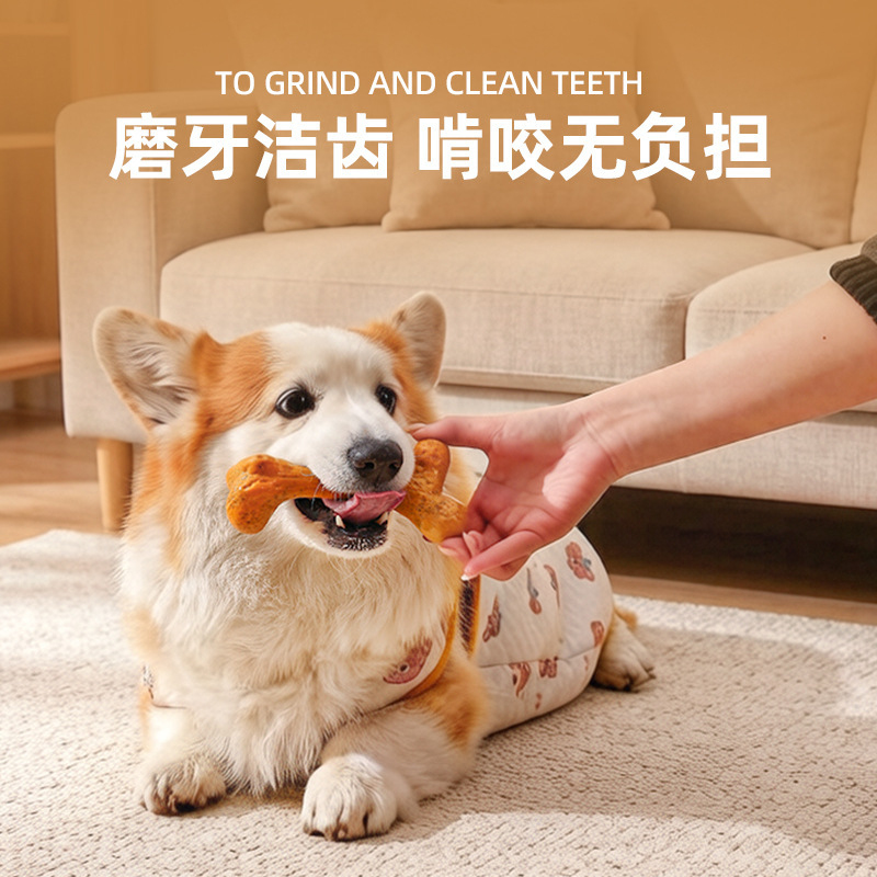 Giocattolo per cani TPR, resis - Teeth Cleaning Dog Chew Bone recensione e prezzo