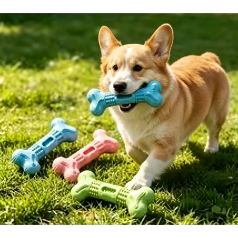 Nuovo Set di Giocattoli Resist - Teeth Cleaning Dog Chew Bone recensione e prezzo