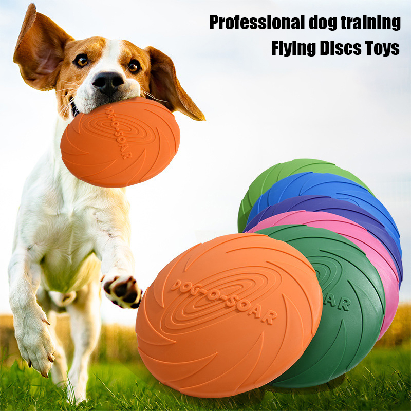 Disco Volante per Cani di Tagl - Flying Disc Dog Training Toy recensione e prezzo