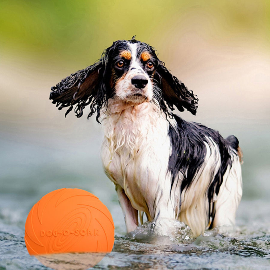 Disco Volante per Cani di Tagl - Flying Disc Dog Training Toy recensione e prezzo