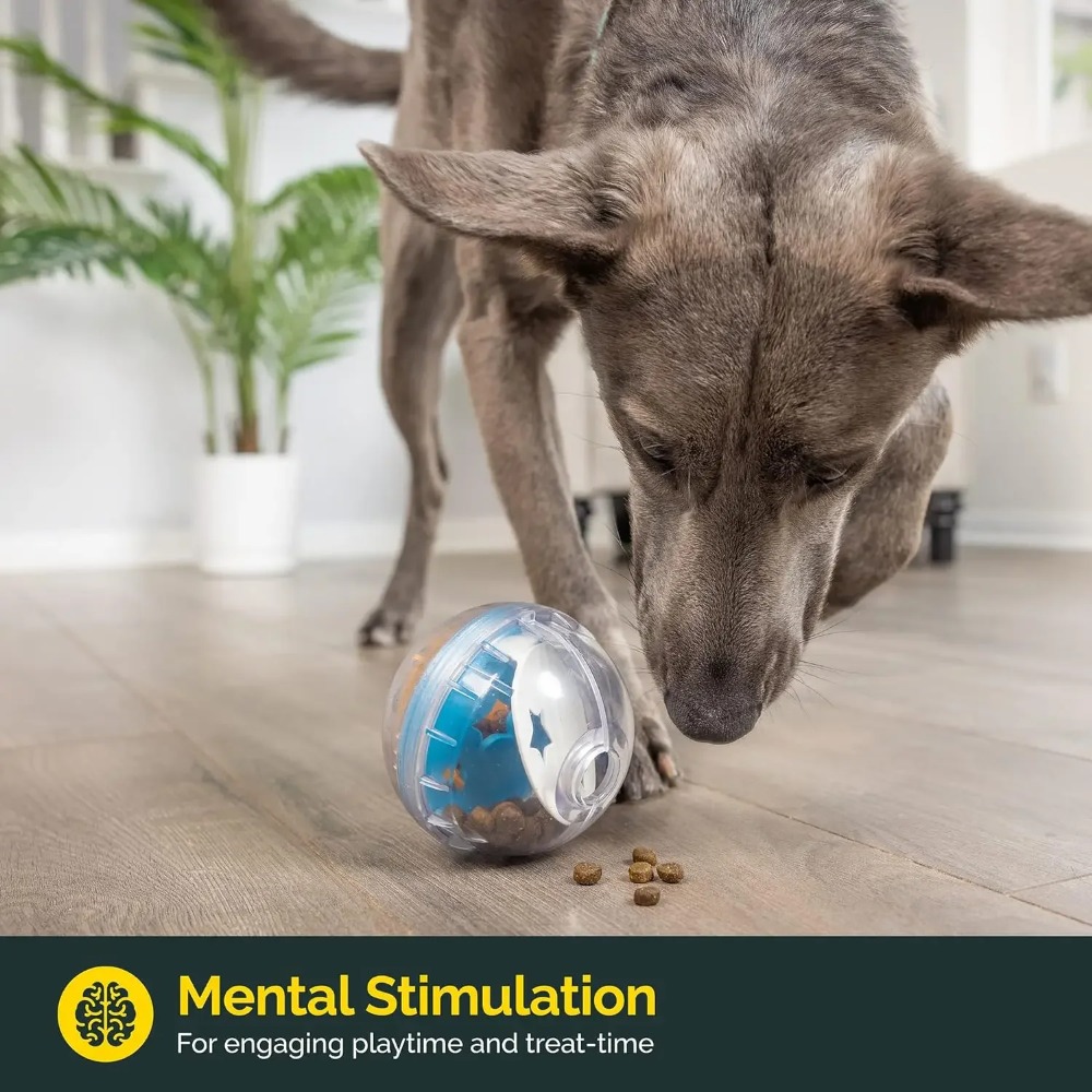 IQ Treat Ball - Giocattolo int - Dog Puzzle Feeder Toy recensione e prezzo