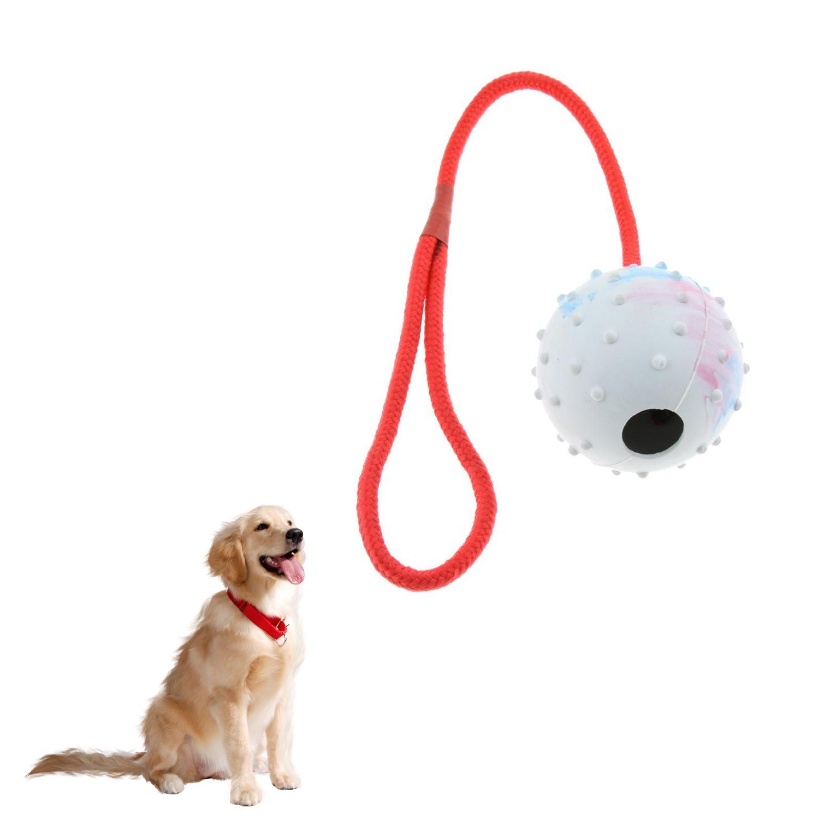 Giocattolo per Addestramento A - Rubber Treat Dispensing Dog Toy recensione e prezzo