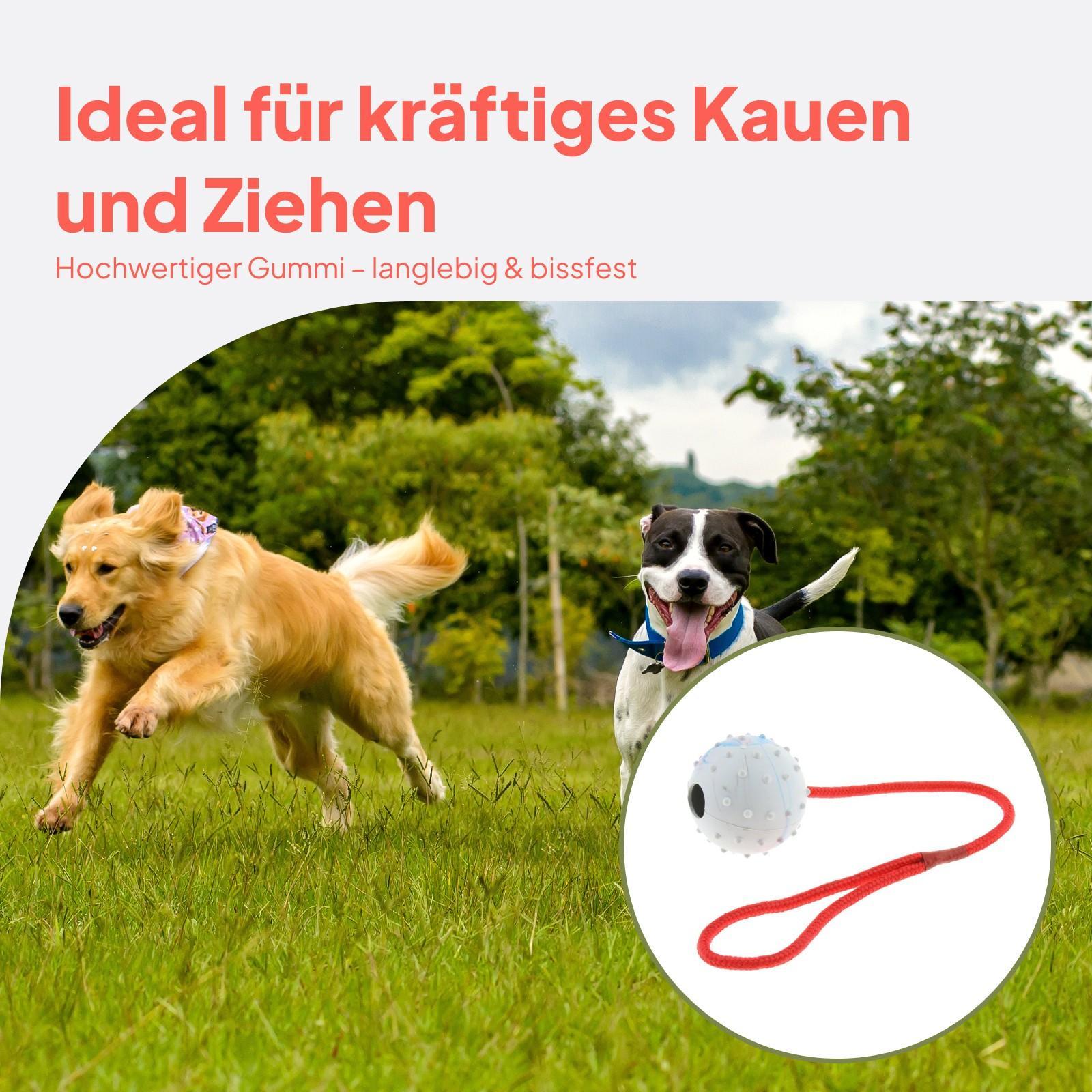 Giocattolo per Addestramento A - Rubber Treat Dispensing Dog Toy recensione e prezzo