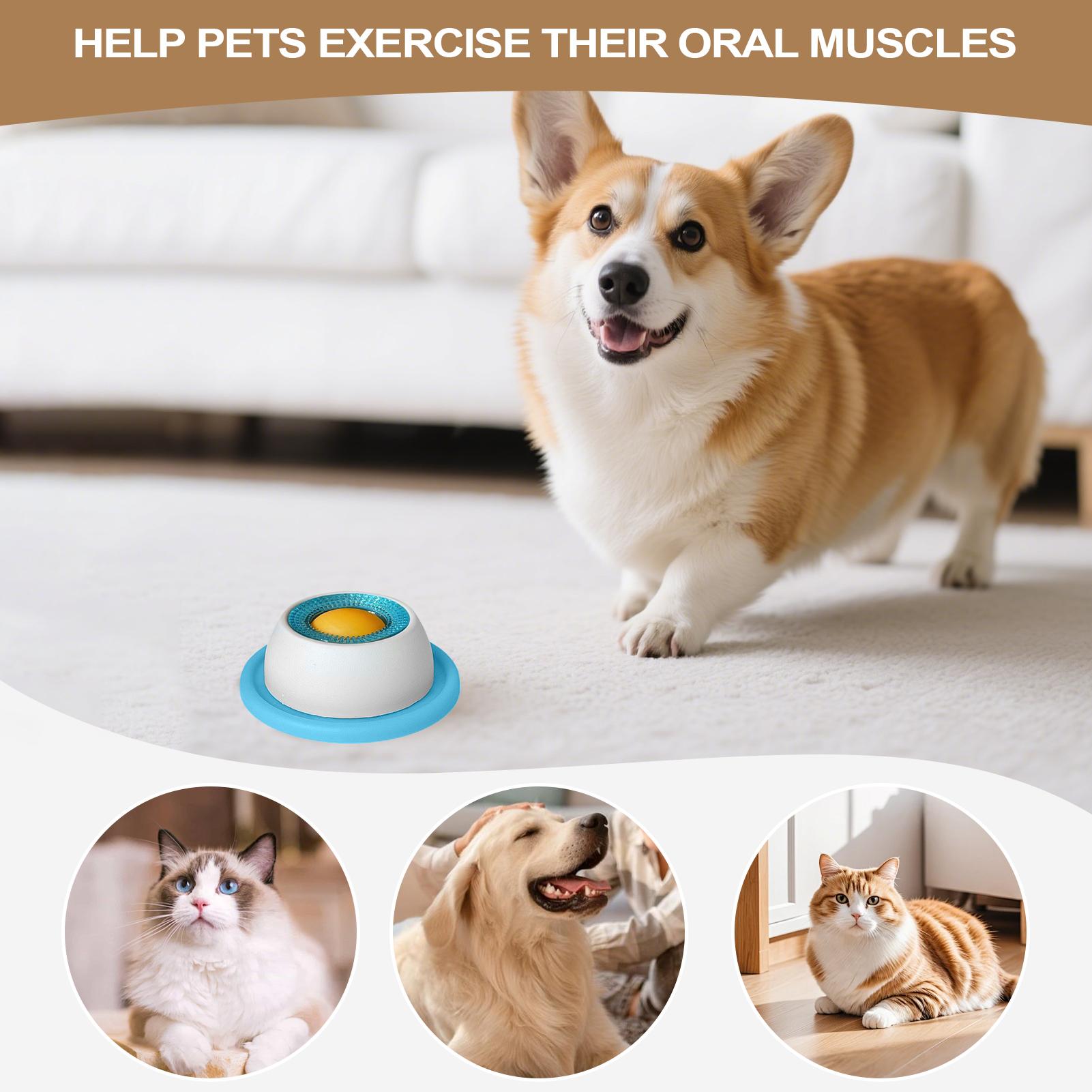 Accessori per l'alimentazione  - Dog Puzzle Feeder Toy recensione e prezzo